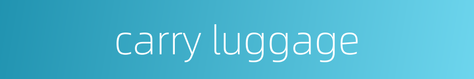 carry luggage的同义词