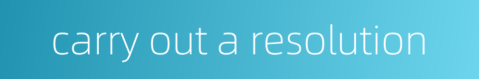 carry out a resolution的同义词