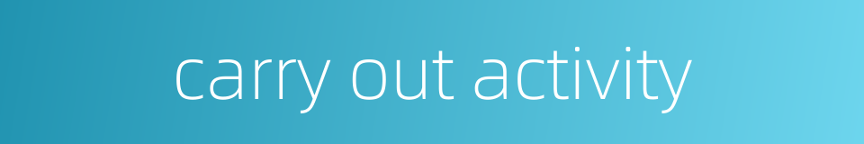 carry out activity的同义词