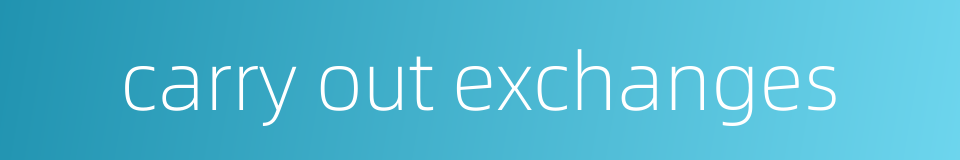 carry out exchanges的同义词