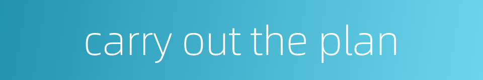 carry out the plan的同义词