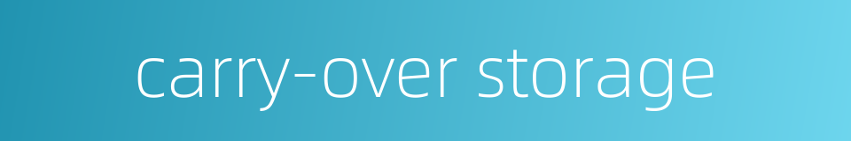 carry-over storage的同义词