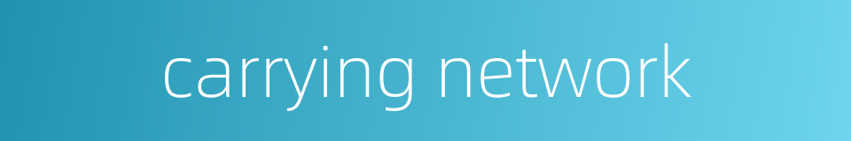 carrying network的同义词