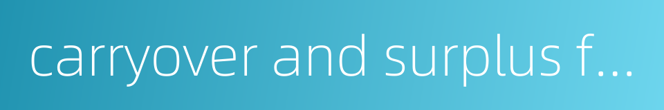 carryover and surplus funds的同义词