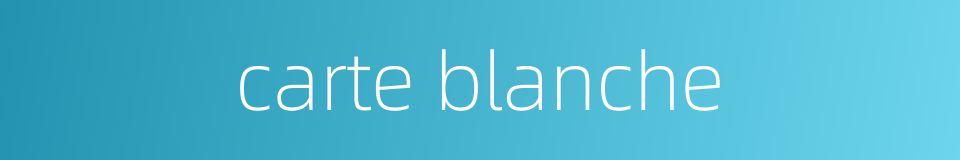 carte blanche的同义词