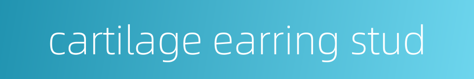 cartilage earring stud的同义词