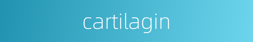 cartilagin的同义词