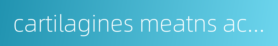 cartilagines meatns acustici的同义词