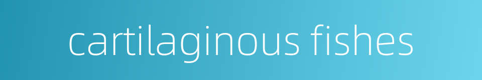 cartilaginous fishes的同义词