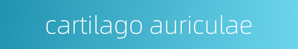 cartilago auriculae的同义词