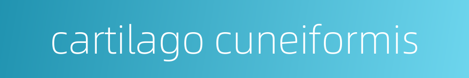 cartilago cuneiformis的同义词