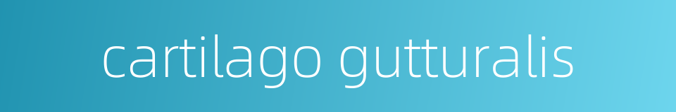 cartilago gutturalis的同义词