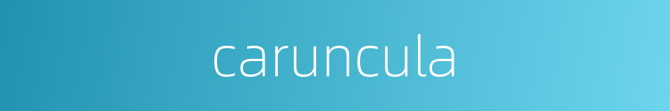 caruncula的同义词