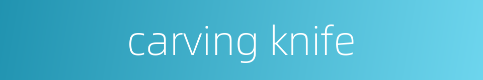 carving knife的同义词