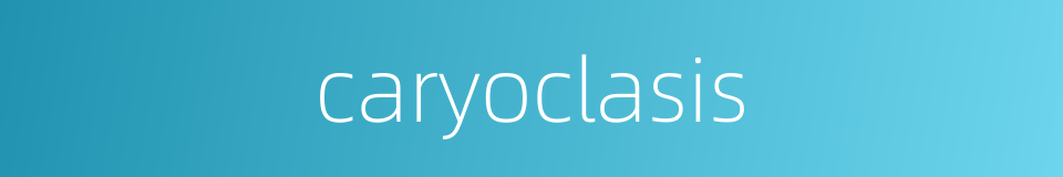 caryoclasis的同义词