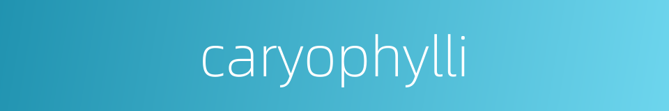 caryophylli的同义词