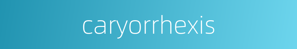 caryorrhexis的同义词