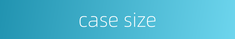 case size的同义词