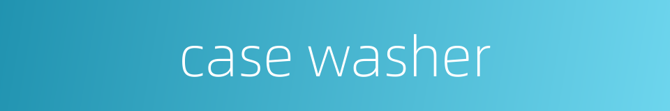 case washer的同义词
