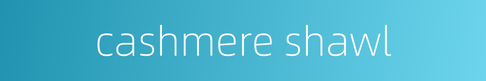 cashmere shawl的同义词
