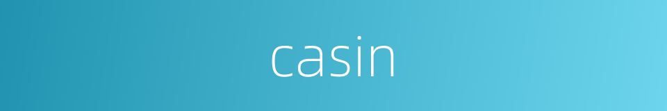 casin的同义词