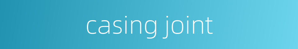 casing joint的同义词