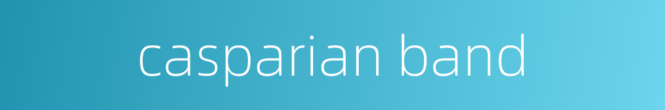 casparian band的同义词