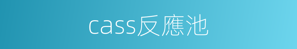 cass反應池的同義詞