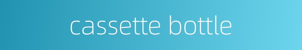 cassette bottle的同义词