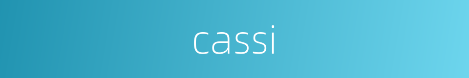 cassi的同义词