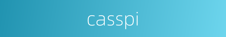 casspi的同义词