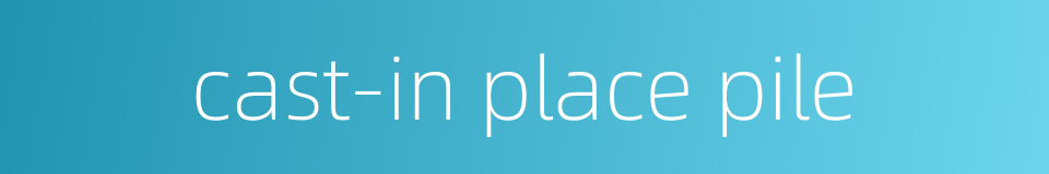 cast-in place pile的同义词