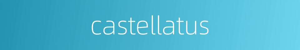 castellatus的同义词