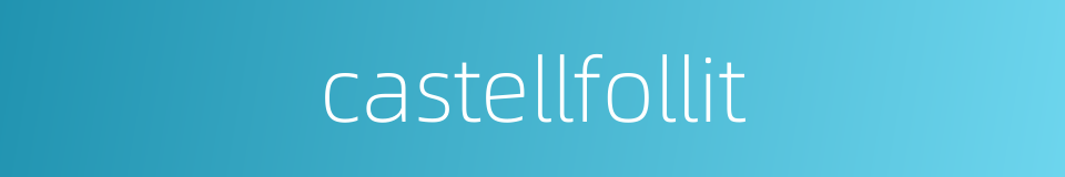 castellfollit的同义词