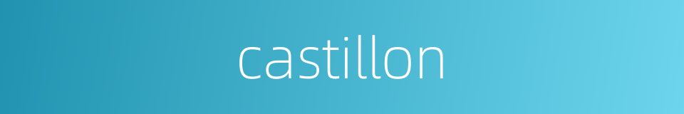 castillon的同义词