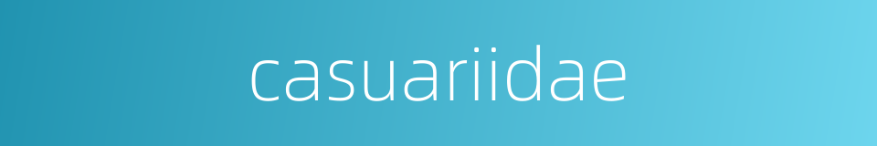 casuariidae的同义词