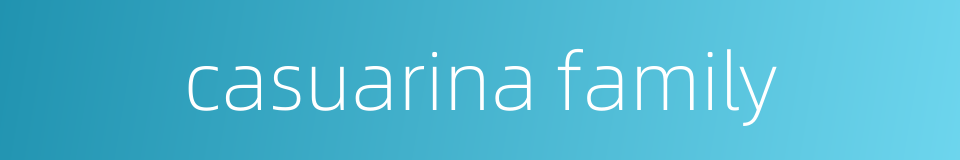 casuarina family的同义词