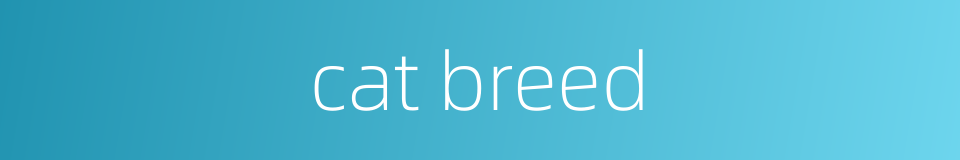cat breed的同义词