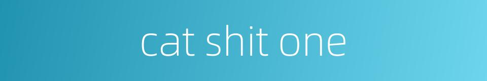 cat shit one的同义词