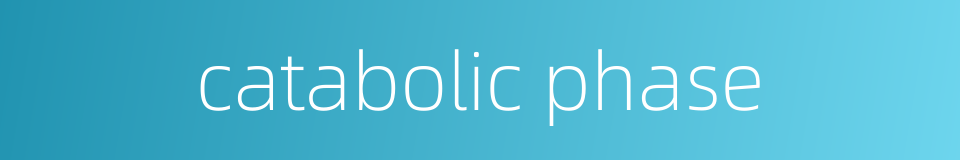 catabolic phase的同义词