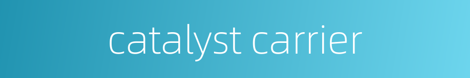 catalyst carrier的同义词