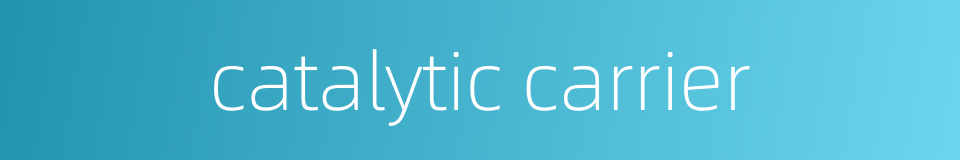 catalytic carrier的同义词