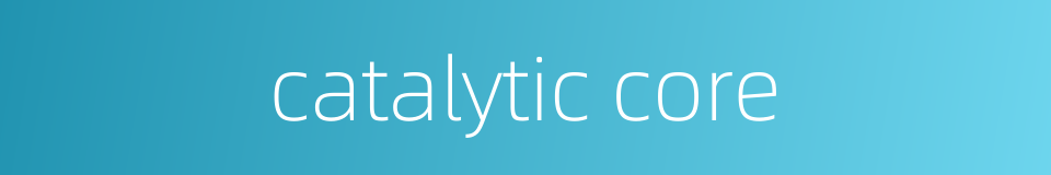 catalytic core的同义词