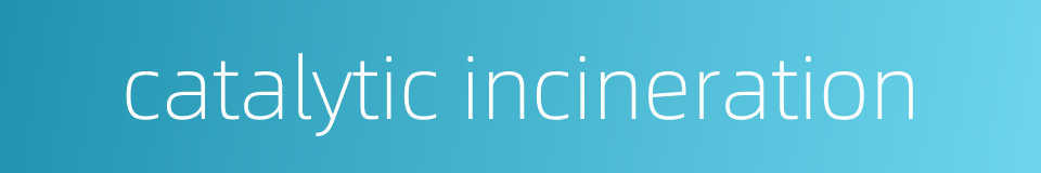 catalytic incineration的同义词