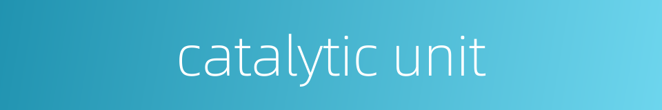 catalytic unit的同义词