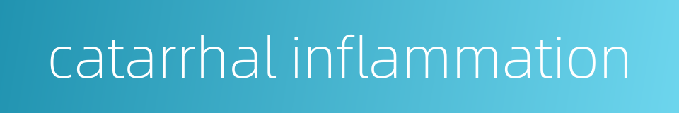 catarrhal inflammation的同义词