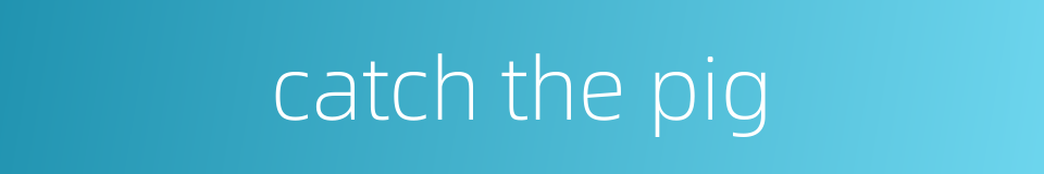 catch the pig的同义词