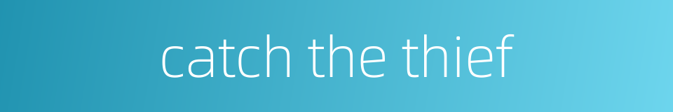 catch the thief的同义词