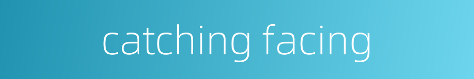 catching facing的同义词