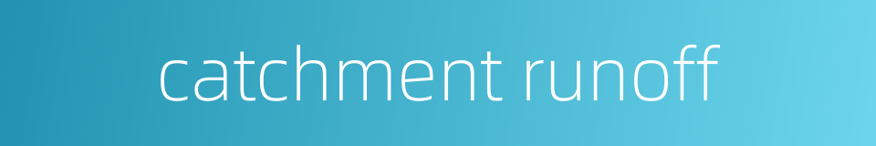 catchment runoff的同义词